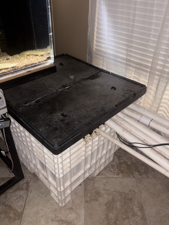 IMG_6475.jpeg IMG_6475.jpeg