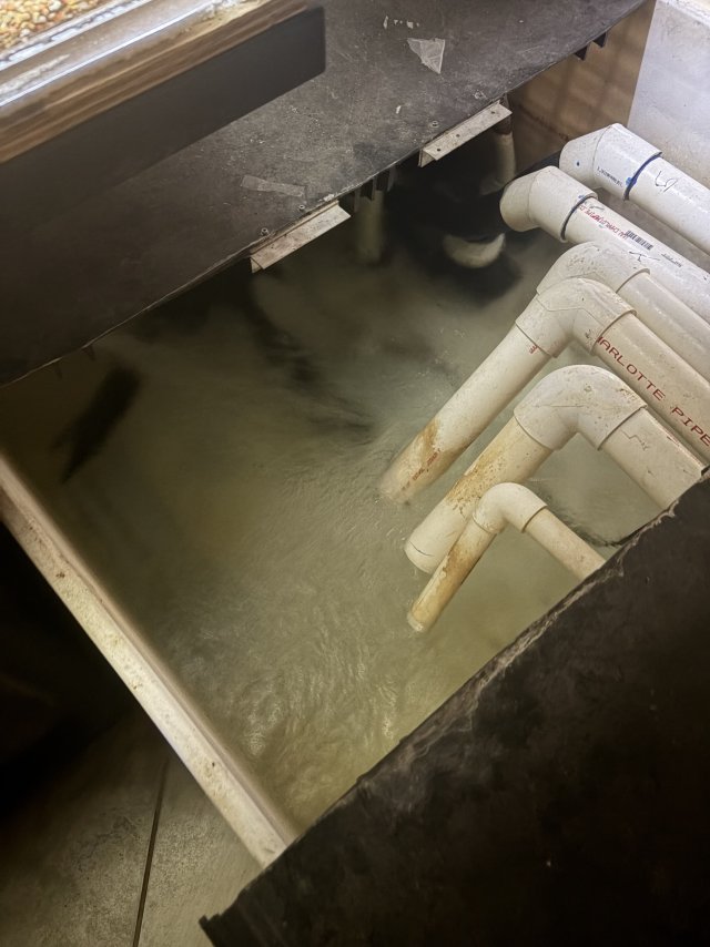 IMG_6472.jpeg IMG_6472.jpeg