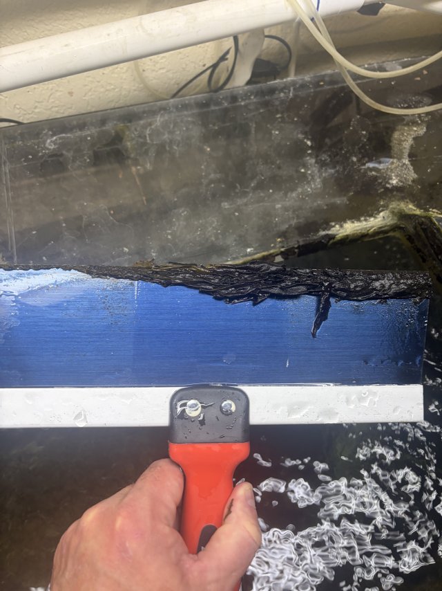 IMG_6486.jpeg IMG_6486.jpeg