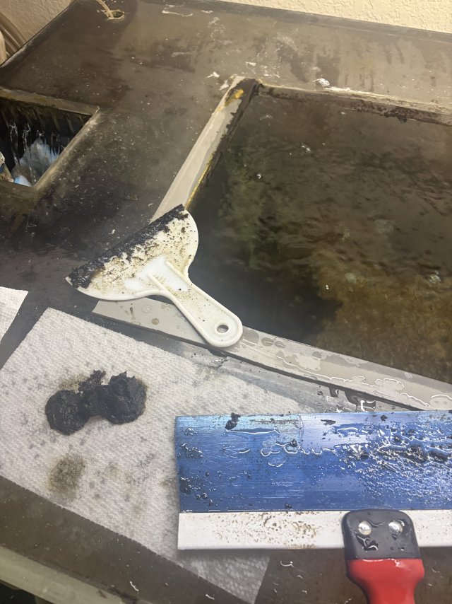 IMG_6482.jpeg IMG_6482.jpeg