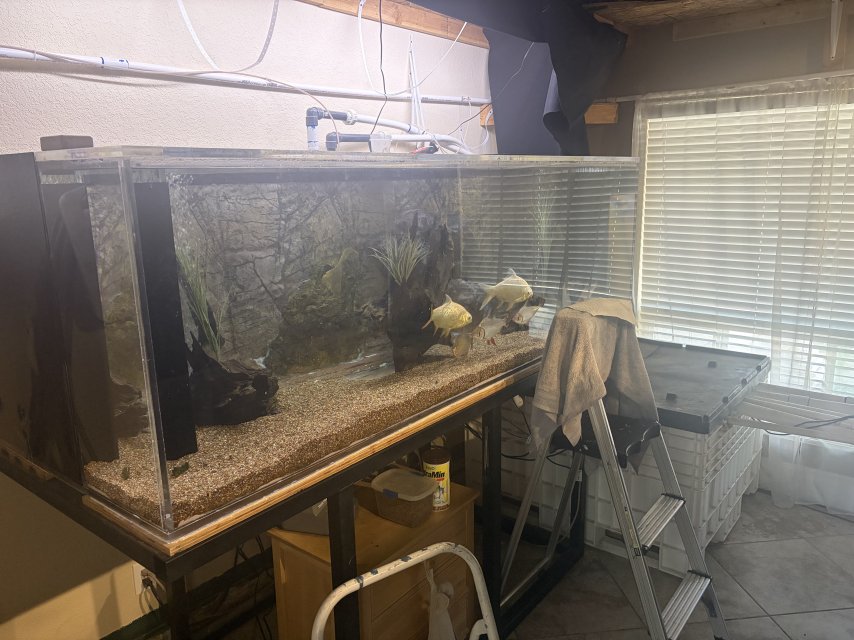 IMG_6485.jpeg IMG_6485.jpeg