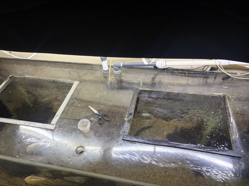 IMG_6488.jpeg IMG_6488.jpeg