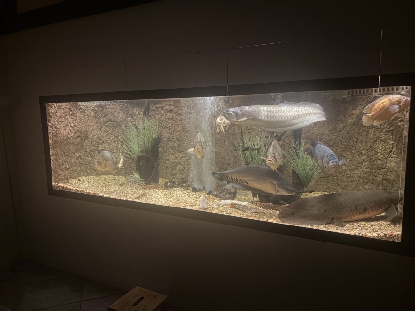 IMG_6428.jpeg IMG_6428.jpeg