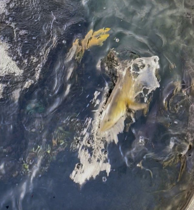 IMG_6821.JPG IMG_6821.JPG