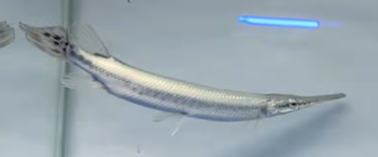 Screenshot 2026-02-25 214455.png