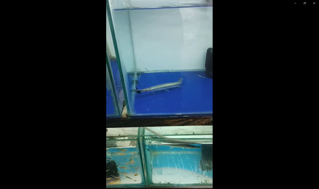 Screenshot 2026-02-27 075043.png