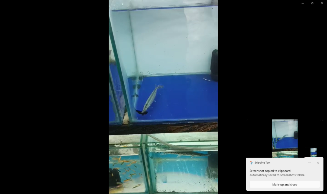 Screenshot 2026-02-27 075033.png