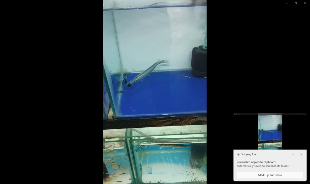 Screenshot 2026-02-27 075024.png