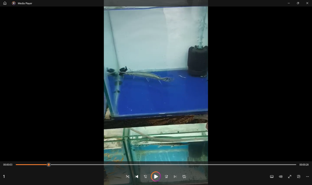 Screenshot 2026-02-27 075018.png