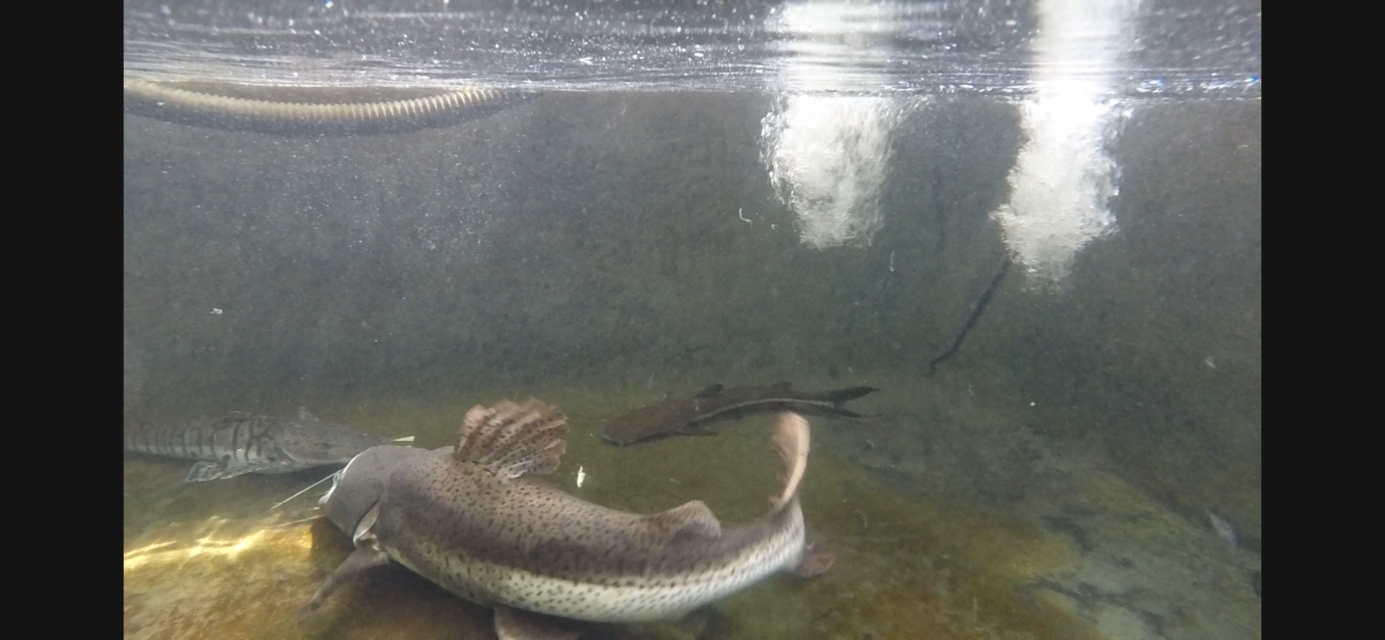 IMG_4354.png IMG_4354.png