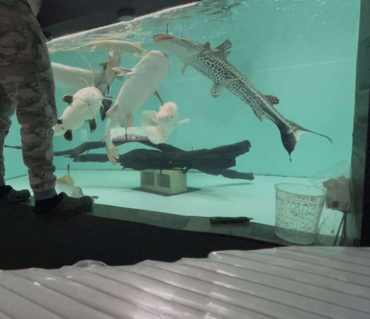 IMG_4355.jpeg IMG_4355.jpeg