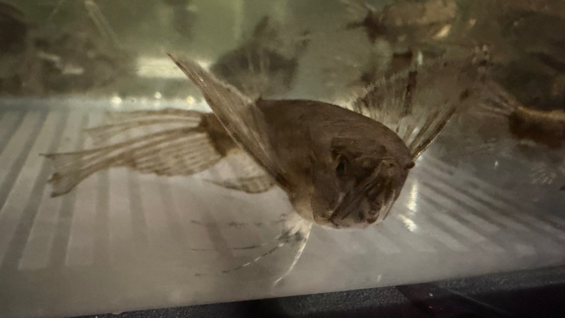 IMG_5291.jpeg IMG_5291.jpeg