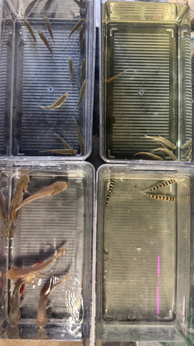 IMG_5280.jpeg IMG_5280.jpeg