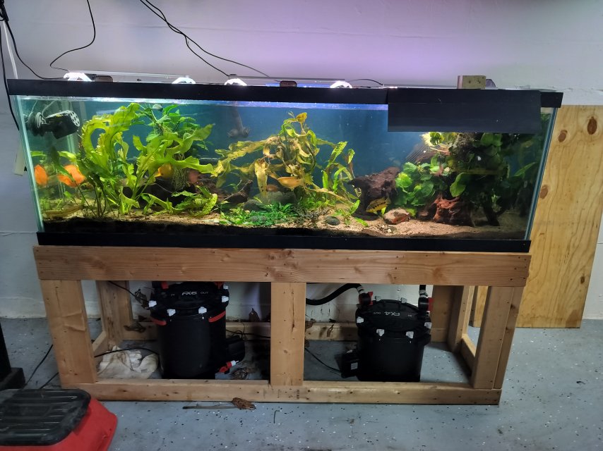 1000006325.jpg 1000006325.jpg