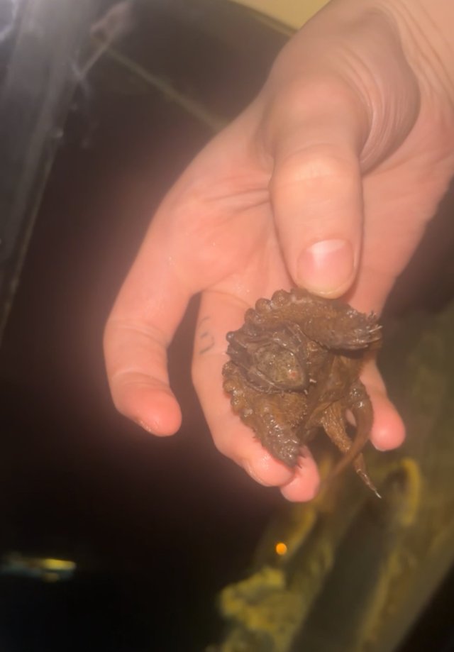 IMG_4623.jpeg IMG_4623.jpeg