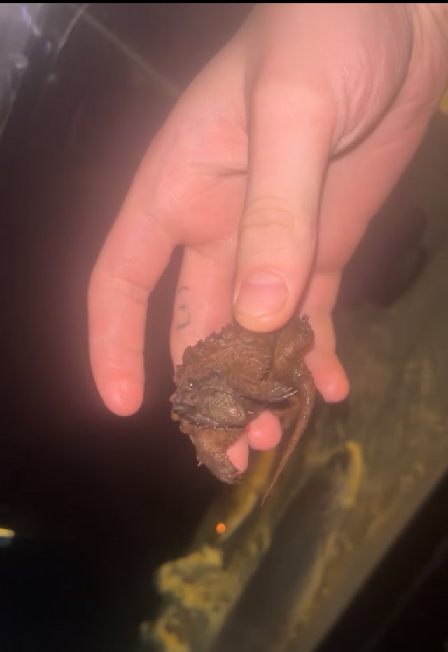 IMG_4621.jpeg IMG_4621.jpeg