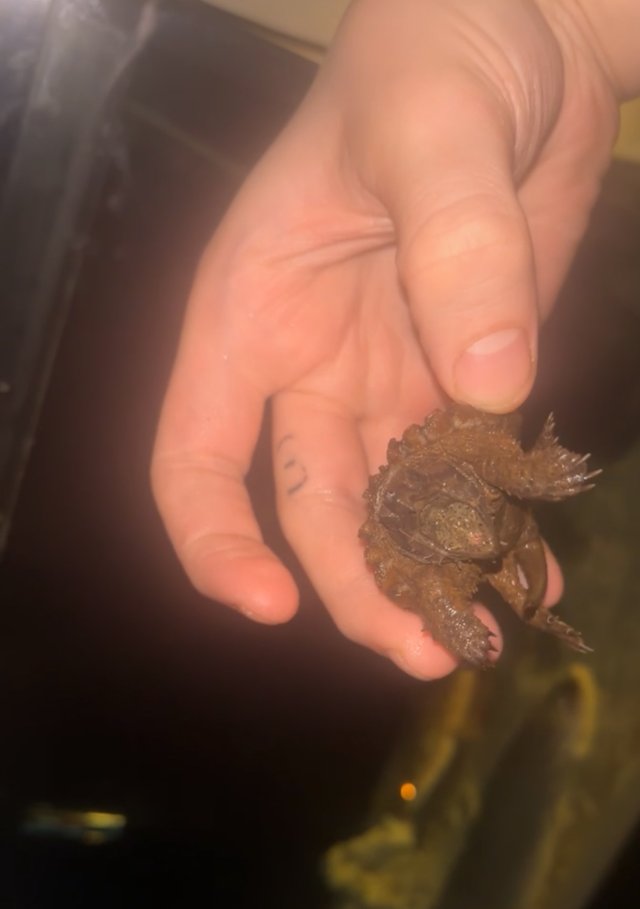 IMG_4622.jpeg IMG_4622.jpeg