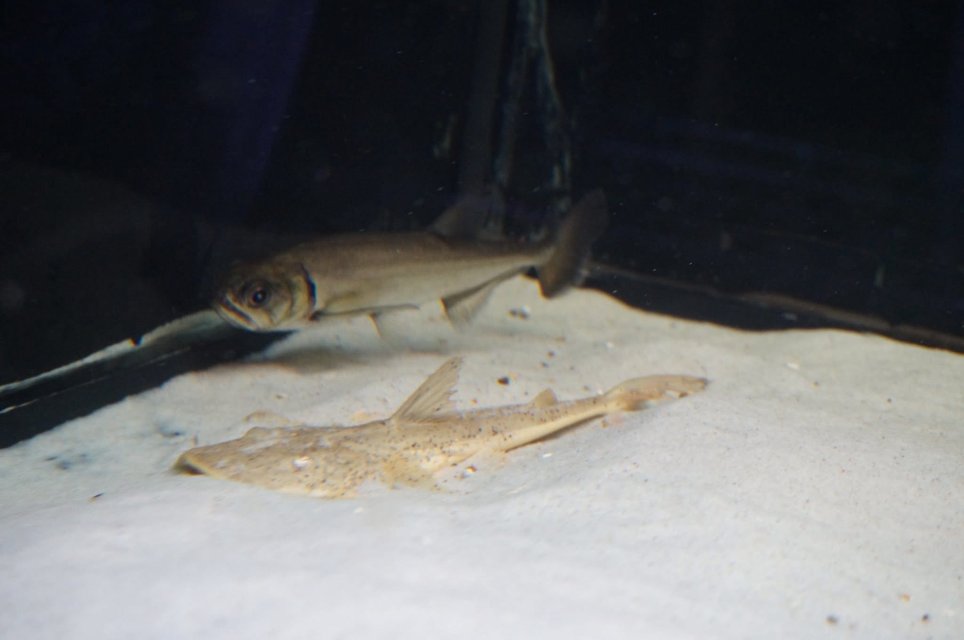 IMG_9506.jpeg IMG_9506.jpeg