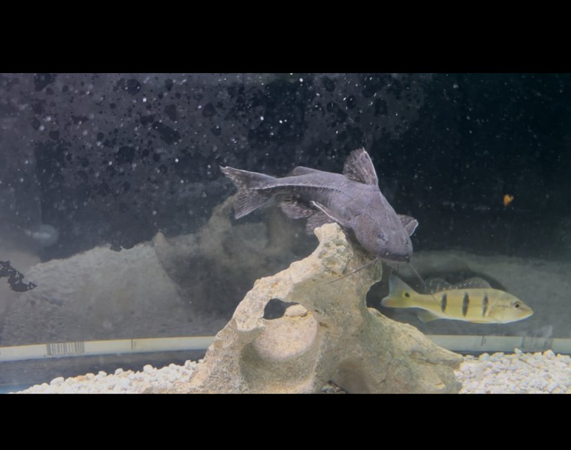 IMG_4632.jpeg IMG_4632.jpeg