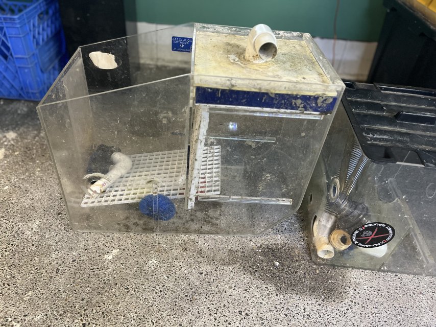 IMG_1046.jpeg IMG_1046.jpeg