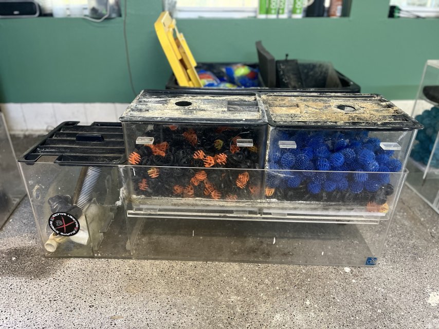 IMG_1050.jpeg IMG_1050.jpeg