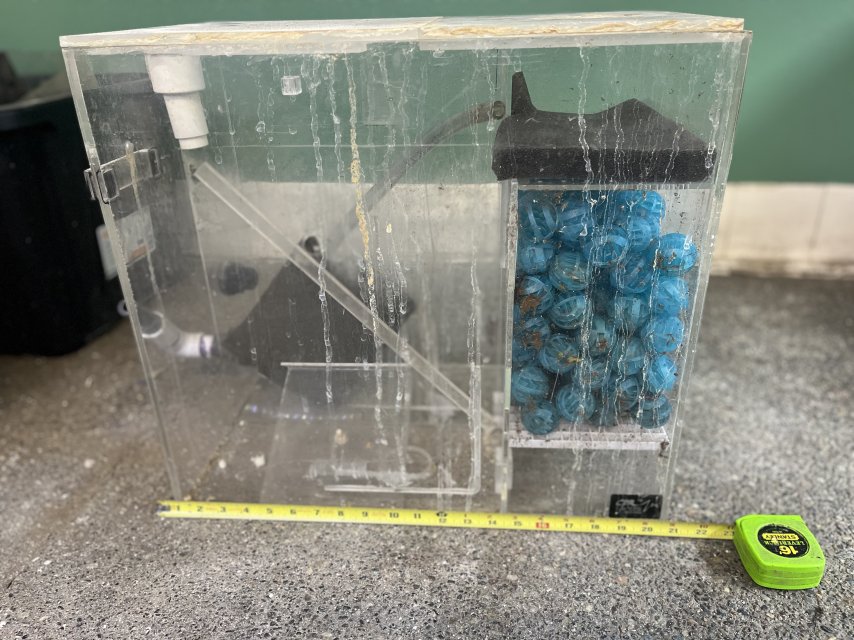 IMG_1054.jpeg IMG_1054.jpeg