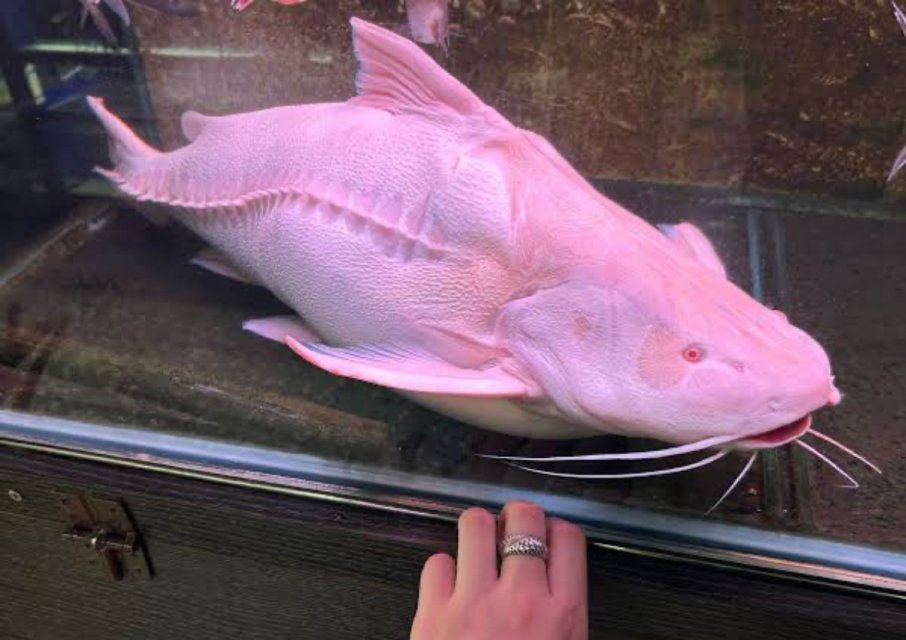 IMG_4633.jpeg IMG_4633.jpeg