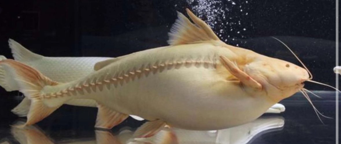 IMG_4634.jpeg IMG_4634.jpeg