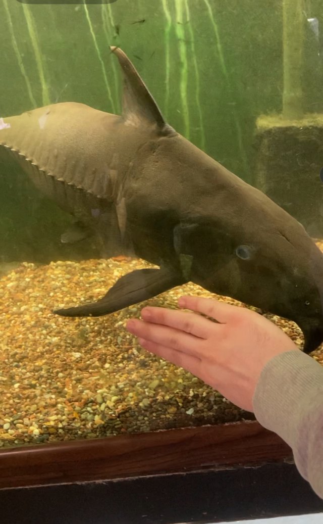 IMG_4635.jpeg IMG_4635.jpeg