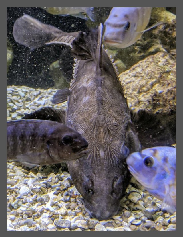 IMG_7013.jpeg IMG_7013.jpeg