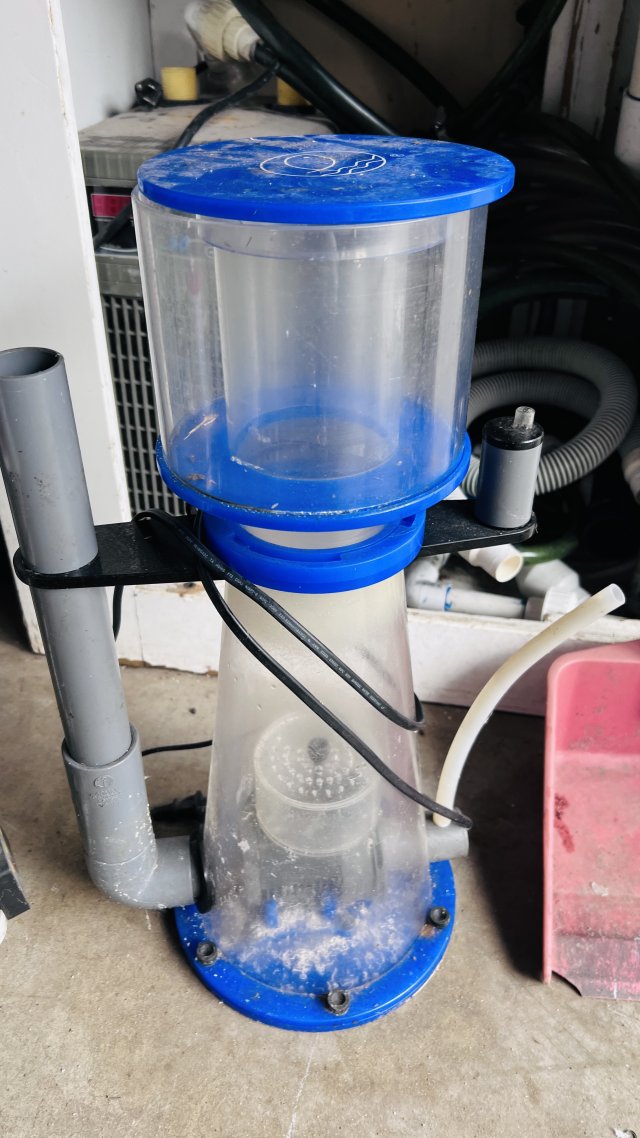 IMG_6770.jpeg IMG_6770.jpeg