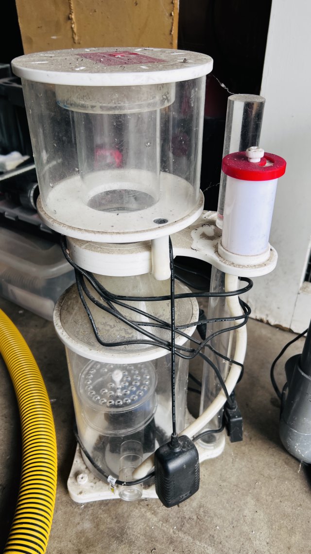 IMG_6769.jpeg IMG_6769.jpeg