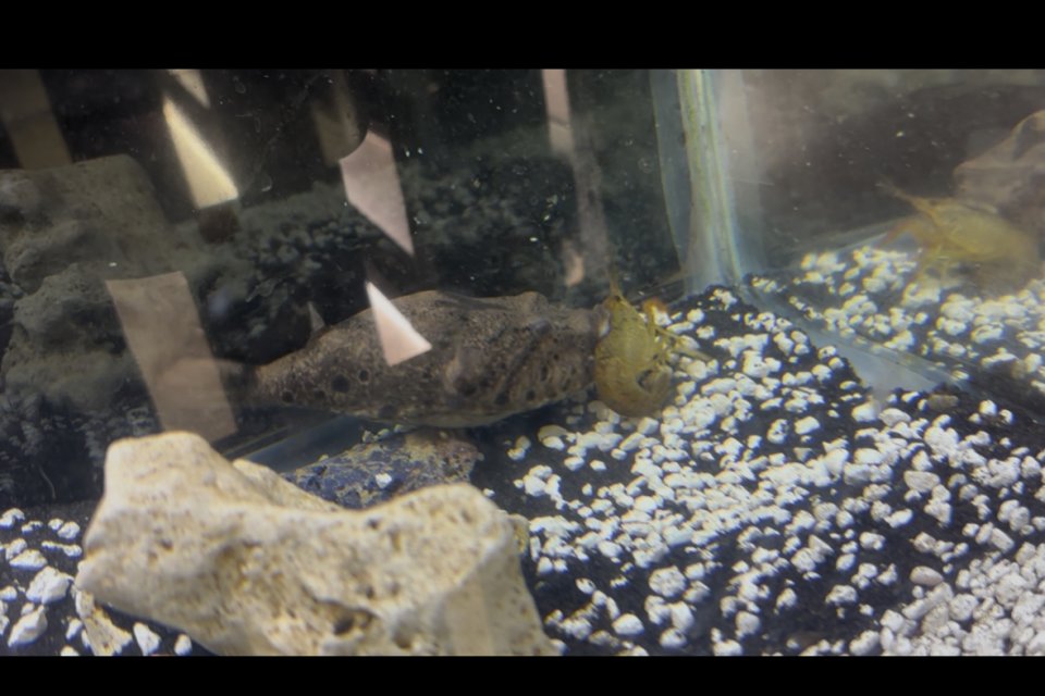 IMG_4644.jpeg IMG_4644.jpeg