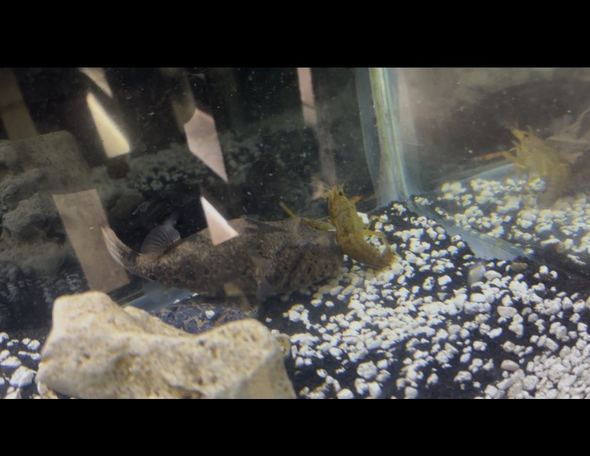 IMG_4643.jpeg IMG_4643.jpeg