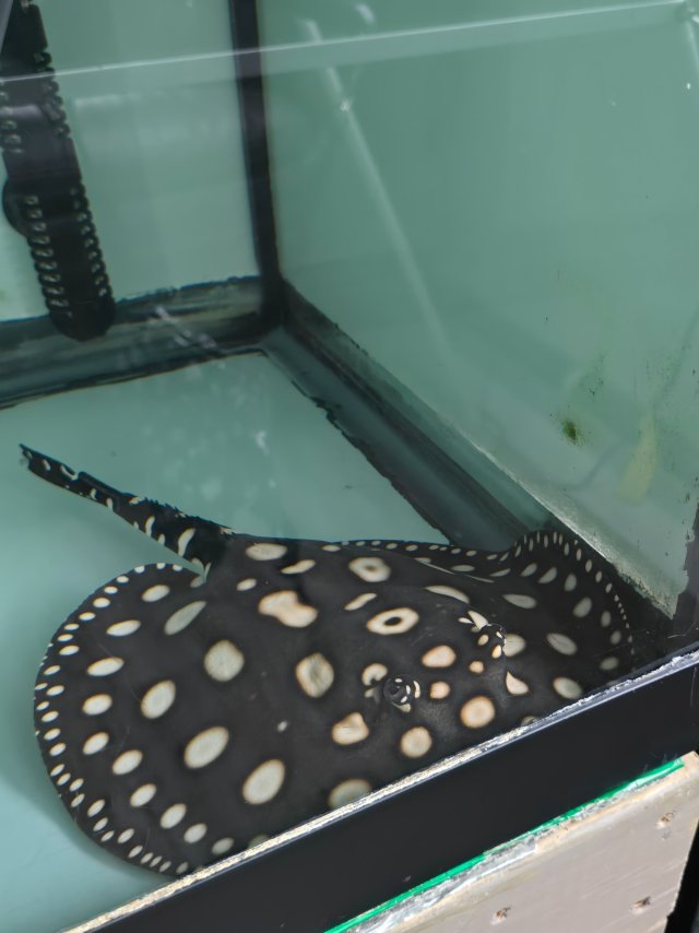 1000011355.jpg 1000011355.jpg