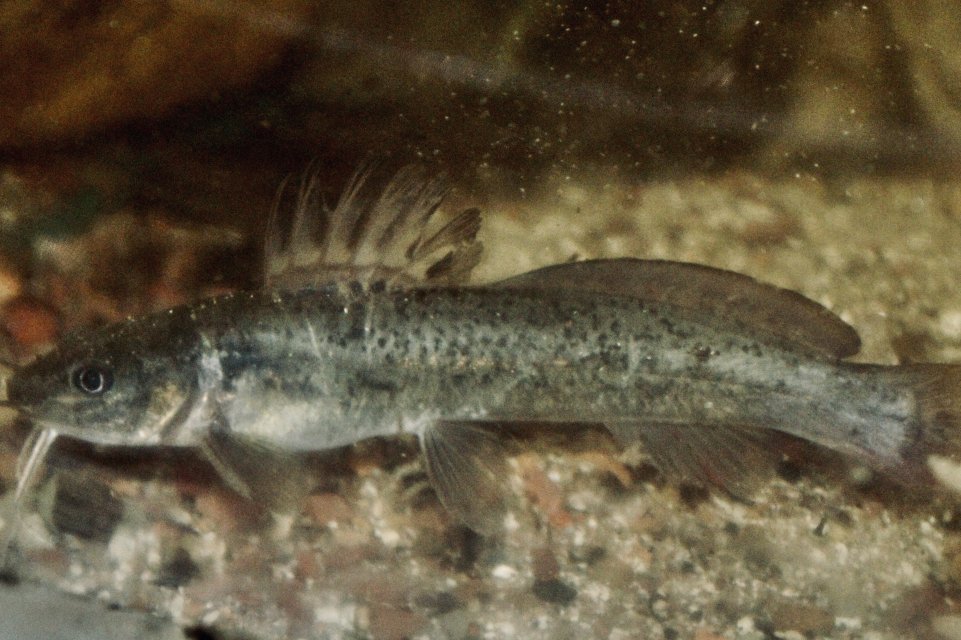 IMG_1579.jpeg IMG_1579.jpeg