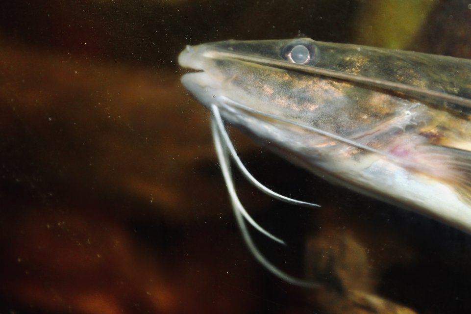 IMG_9976.jpeg IMG_9976.jpeg