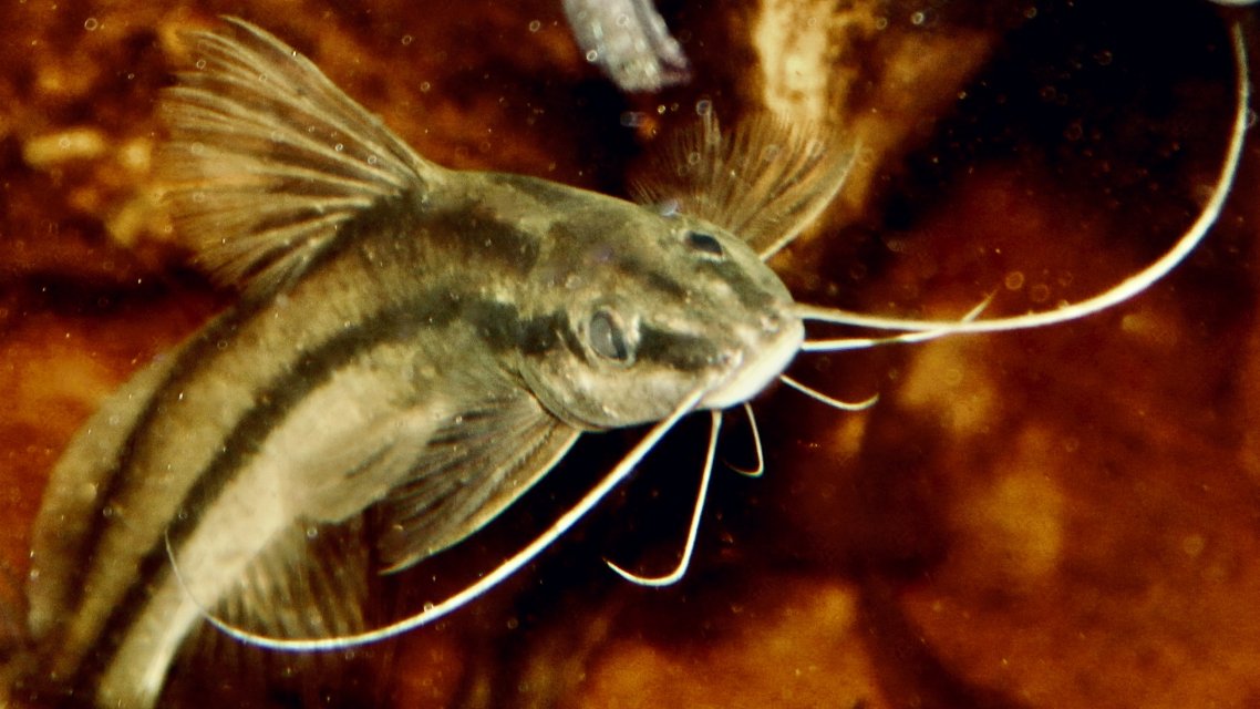 IMG_4954.jpeg IMG_4954.jpeg