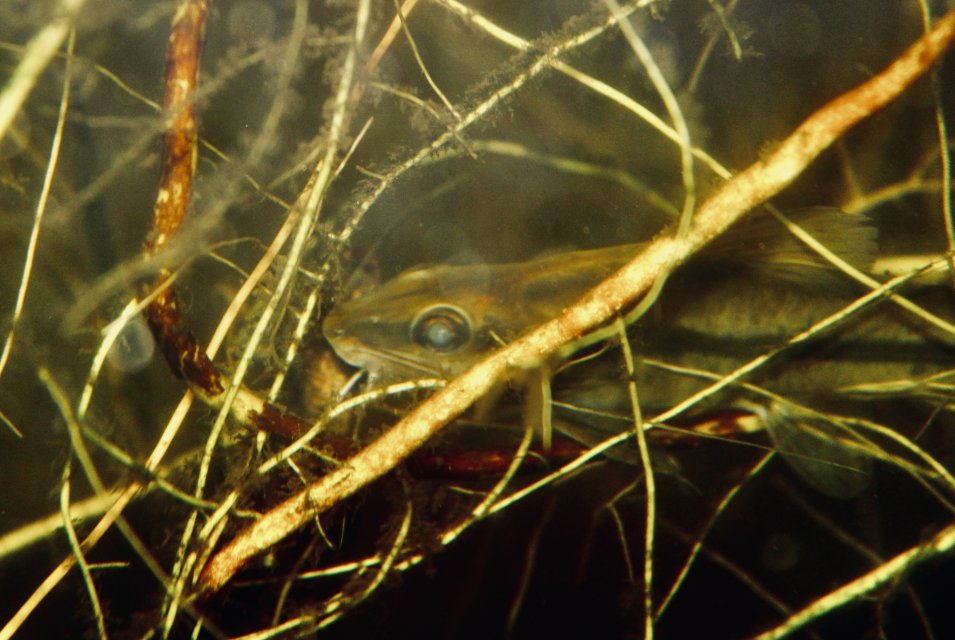 IMG_1598.jpeg IMG_1598.jpeg