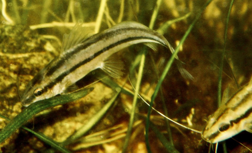 IMG_1468.jpeg IMG_1468.jpeg