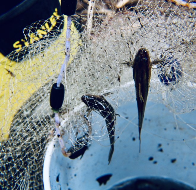 IMG_0308.jpeg IMG_0308.jpeg