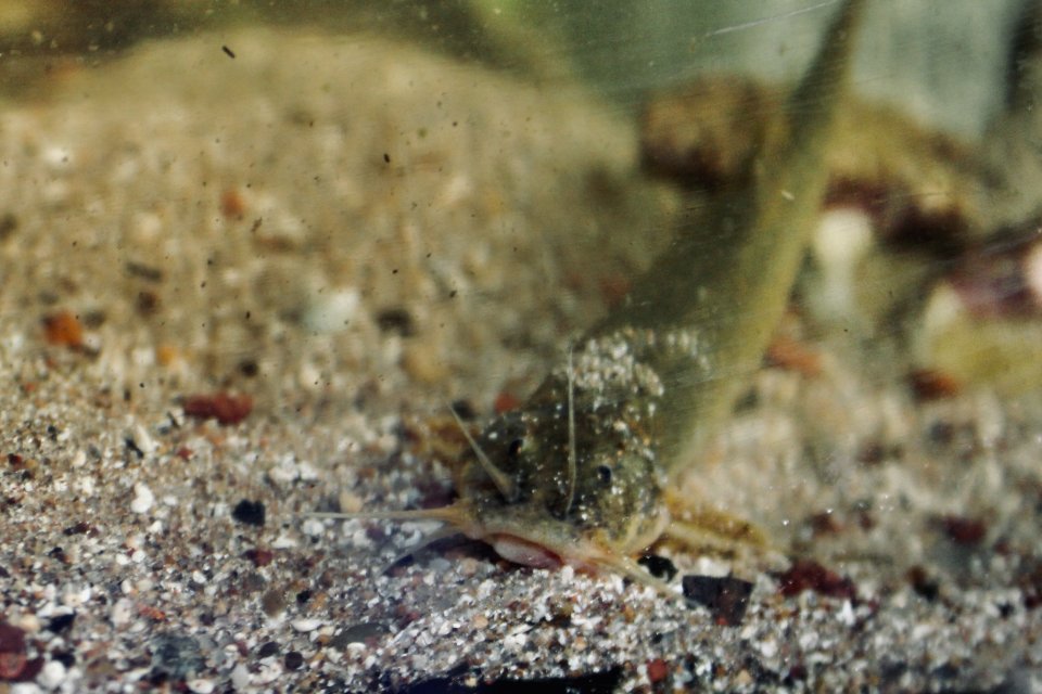 IMG_1476.jpeg IMG_1476.jpeg