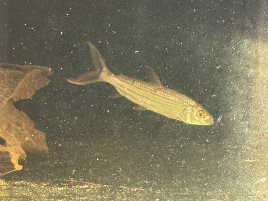 IMG_9597.jpeg IMG_9597.jpeg