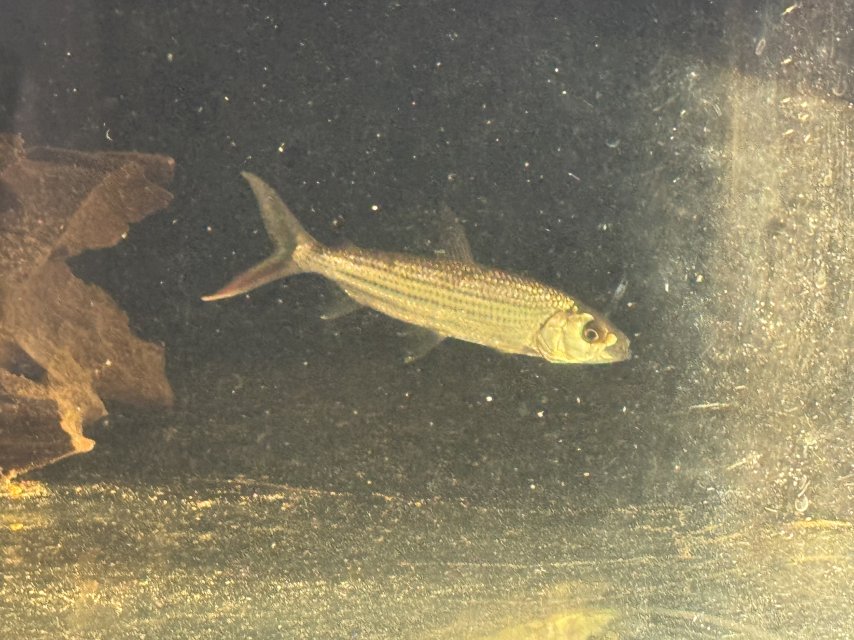 IMG_9596.jpeg IMG_9596.jpeg