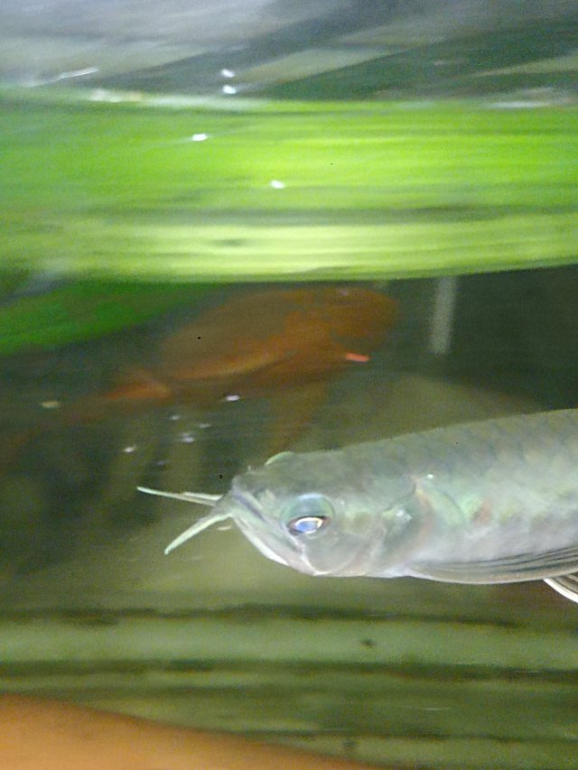 IMG_20260303_190500.jpg IMG_20260303_190500.jpg