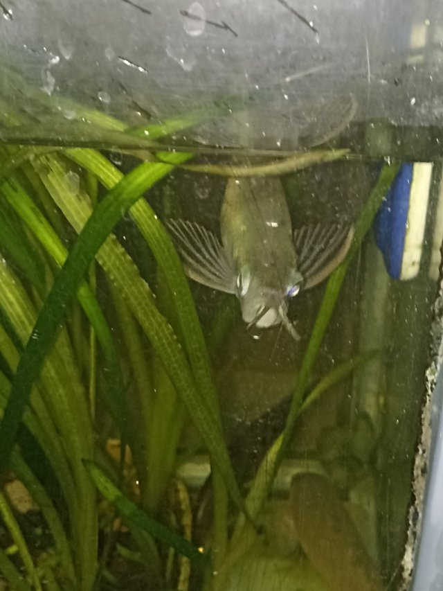 IMG_20260303_190456.jpg IMG_20260303_190456.jpg