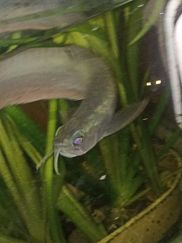 IMG_20260303_190433.jpg IMG_20260303_190433.jpg