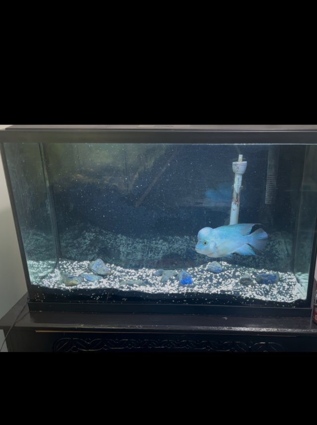 IMG_4663.jpeg IMG_4663.jpeg