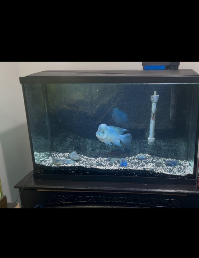 IMG_4662.jpeg IMG_4662.jpeg