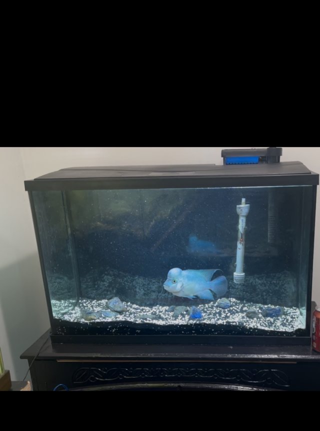 IMG_4661.jpeg IMG_4661.jpeg